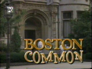 Boston Common 1996 The Complete Series On 3 Dvds Traylor Howard Anthony Clark Vincent Ventresca 