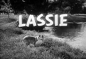 Lassie (1954) 466 Episodes On 38 DVDS 